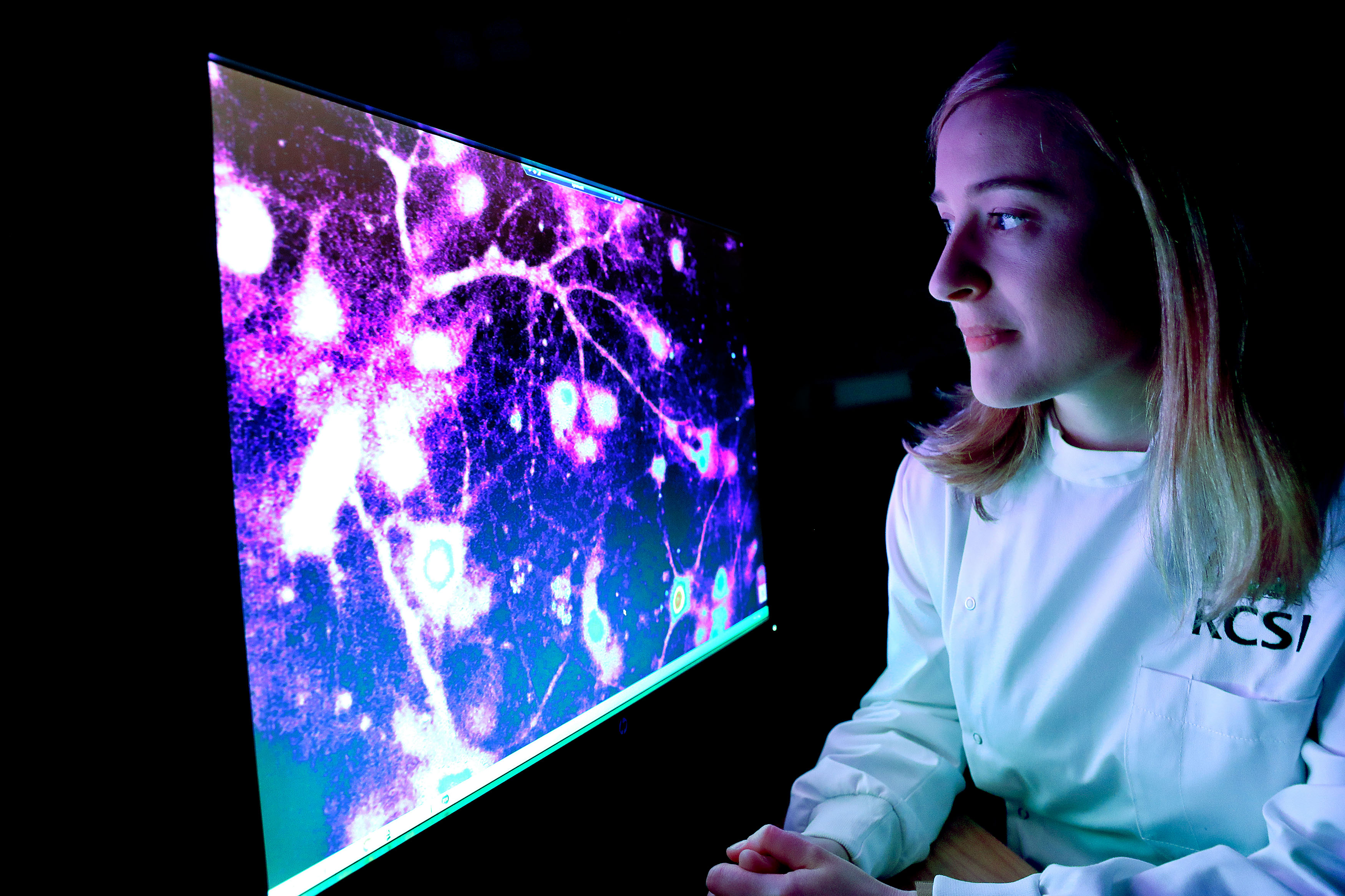 Dr Marion Hogg looking at brain cells on a compuer screen